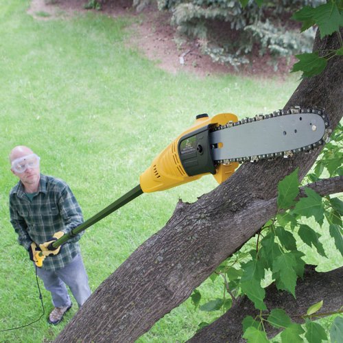 Electric Pole Saw Et1003 845402007628