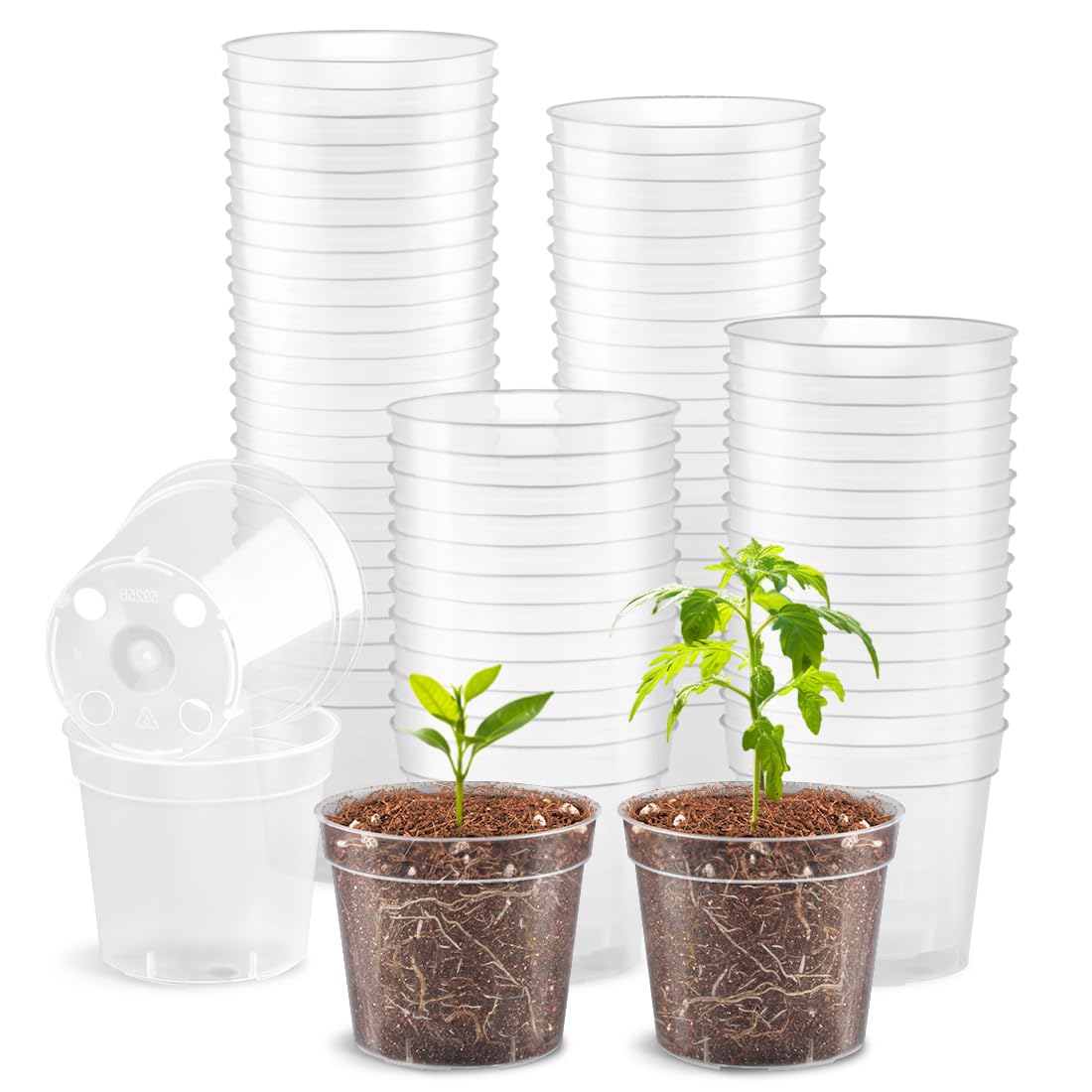 Photo 1 of RooTrimmer 2.5" Clear Seeding Pots 100-Pack Round for Seeds Starter Pots, Seeds Germination Transparent Nursery Pot with Drainage Holes (2.5Inch,100Pcs,Clear)