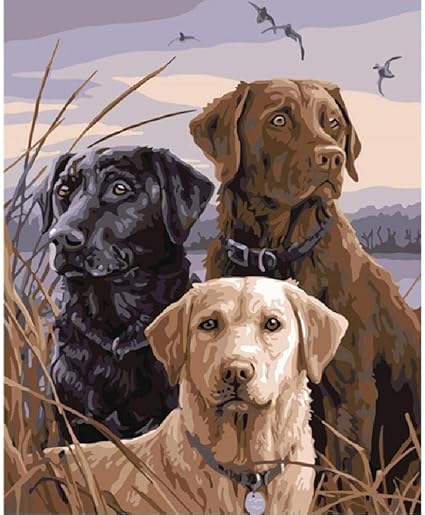 labrador jigsaw puzzle