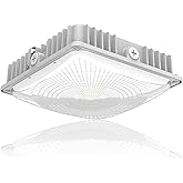LED 75W Canopy Light Outdoor, Super Bright 5000K Daylight 9750LM IP65 Waterproof Outdoor Carport Ceiling Light, AC100-277V for Commercial Canopy Lights, Gas Station, Garage, Shop Lighting(1 Pack)