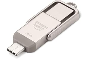 �鶹�� Basics USB Flash Drive, Thumb Drive Memory Stick with USB C and USB A Dual Ports, 256GB, Champagne Silver