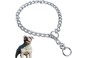 CYHAEN 1-Pack Chain Dog Collar, Metal Slip Link Training Heavy Duty Dog Collar Martingale Puppy Collars for XXS XS Small Medium Large Big XL Breed Dogs, Silver XXSmall