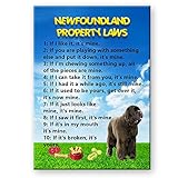 Newfoundland Property Laws Fridge Magnet No 1 (Brown) Funny
