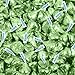 HERSHEY'S KISSES Candy Light Green Foiled Milk Chocolate - Bulk Candy (Light Green, 1lb)