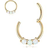 GAGABODY Septum Jewelry 16g Septum Ring 16 Gauge Earrings Daith Jewelry Surgical Steel Helix Piercing Jewelry Cartilage Earrings Hoop