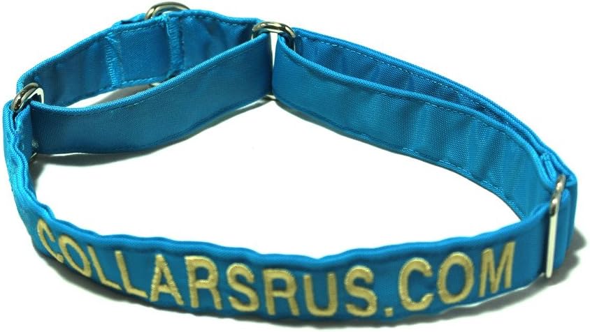 custom dog collars slip