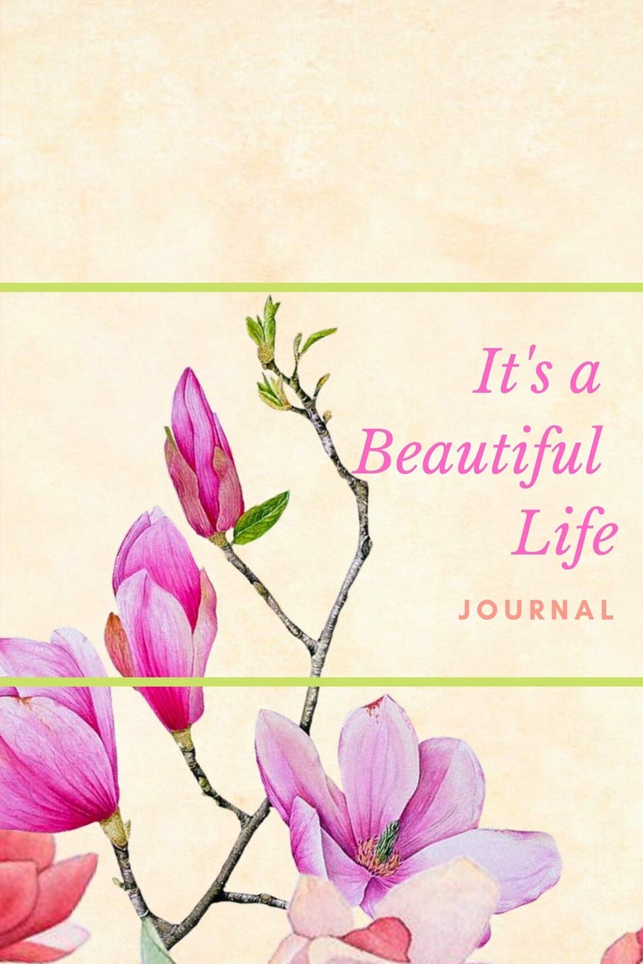 It S A Beautiful Life Journal From Ashes Of Despair To The Beauty