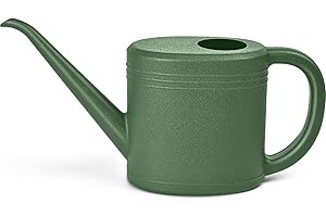VKPLITE Watering Can for Garden Indoor Plants Outdoor Plant House Flower - 1/4 Gallon - Green