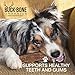 Buck Bone Organics Dog Chews, Antlers for Dogs, Premium Natural Elk, Long Lasting Dog Bones for Aggressive Chewers, No Preservatives, Wild Shed in The USA Medium