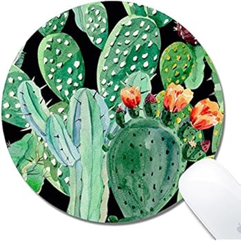 Amazon.com : Computer Cactus Round Mouse Pad (7.8x7.8 Inch ...