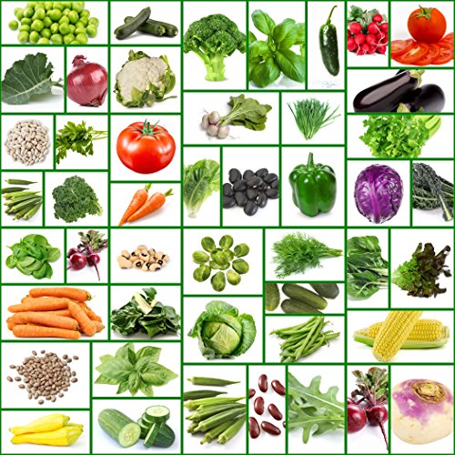 45 Varieties of All Natural Vegetable Seeds-Non Hybrid-Non GMO Seeds-Heirloom Seeds-Carefully Selected Varieties To Provide a Well Balanced Healthy Diet. No Garbage (Filler) Seeds-Packed in Mylar Bag