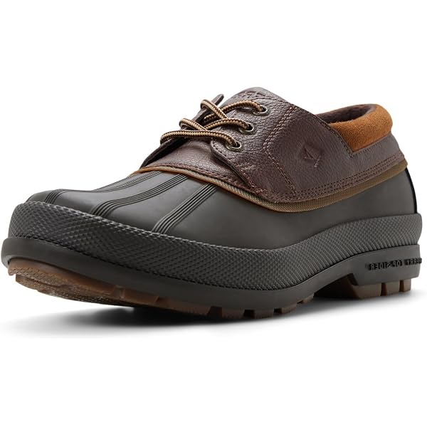 Amazon.com | Sperry Men display picture 2