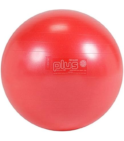 バランスボール(GYMNIC) Amazon.com: GYMNIC Classic 45 Ball : Sports & Outdoors