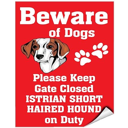 Amazon Com Beware Of Istrian Shorthaired Hound Dog On Duty Vinyl