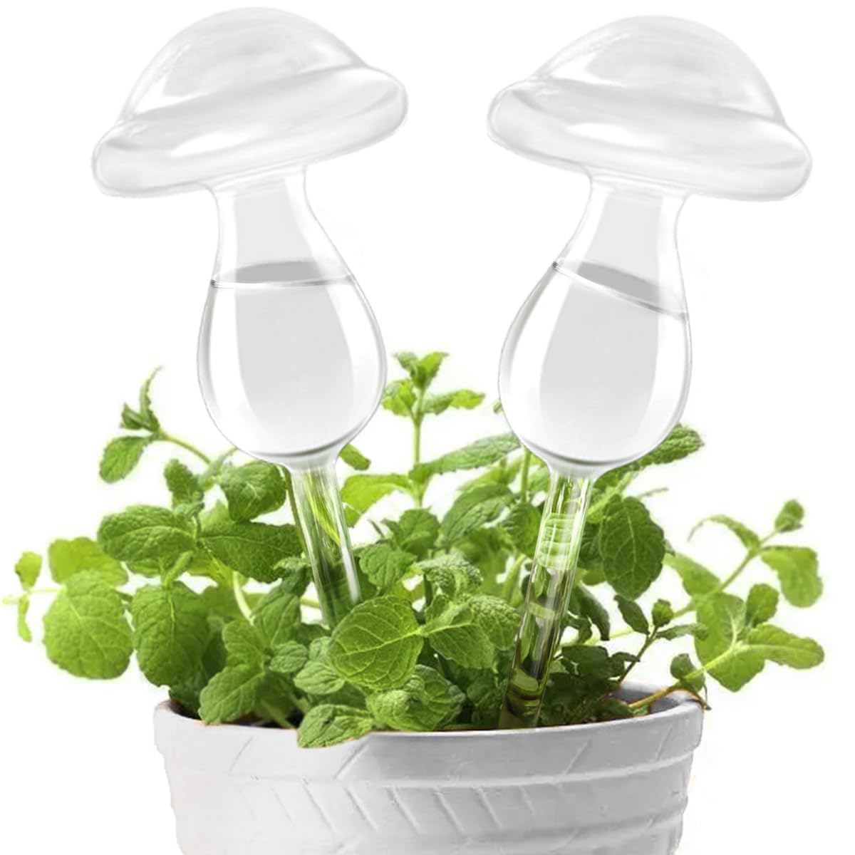 KiKiHome New Plant Waterer Self Watering Globes, Hand Blown Clear Glass Plant Water Bulbs for Indoor & Outdoor (2 Mushrooms)