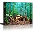 Brown Bear Wall Art for Kids Room, PIY Cute Animal Canvas Painting of Mother and Cub in Old-growth Forest Picture, Adorable Family Wildlife Decor (1