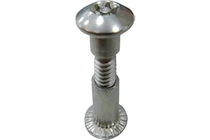 TOP QUALITY Chicago Screws Barrel Bolt Binding Post 10 Pack Truss Washer Head Stud Screw Sex Screws Sex Bolts Screw Bolts Binder Repair Nut Button Furniture and Craft Super-Deals-Shop