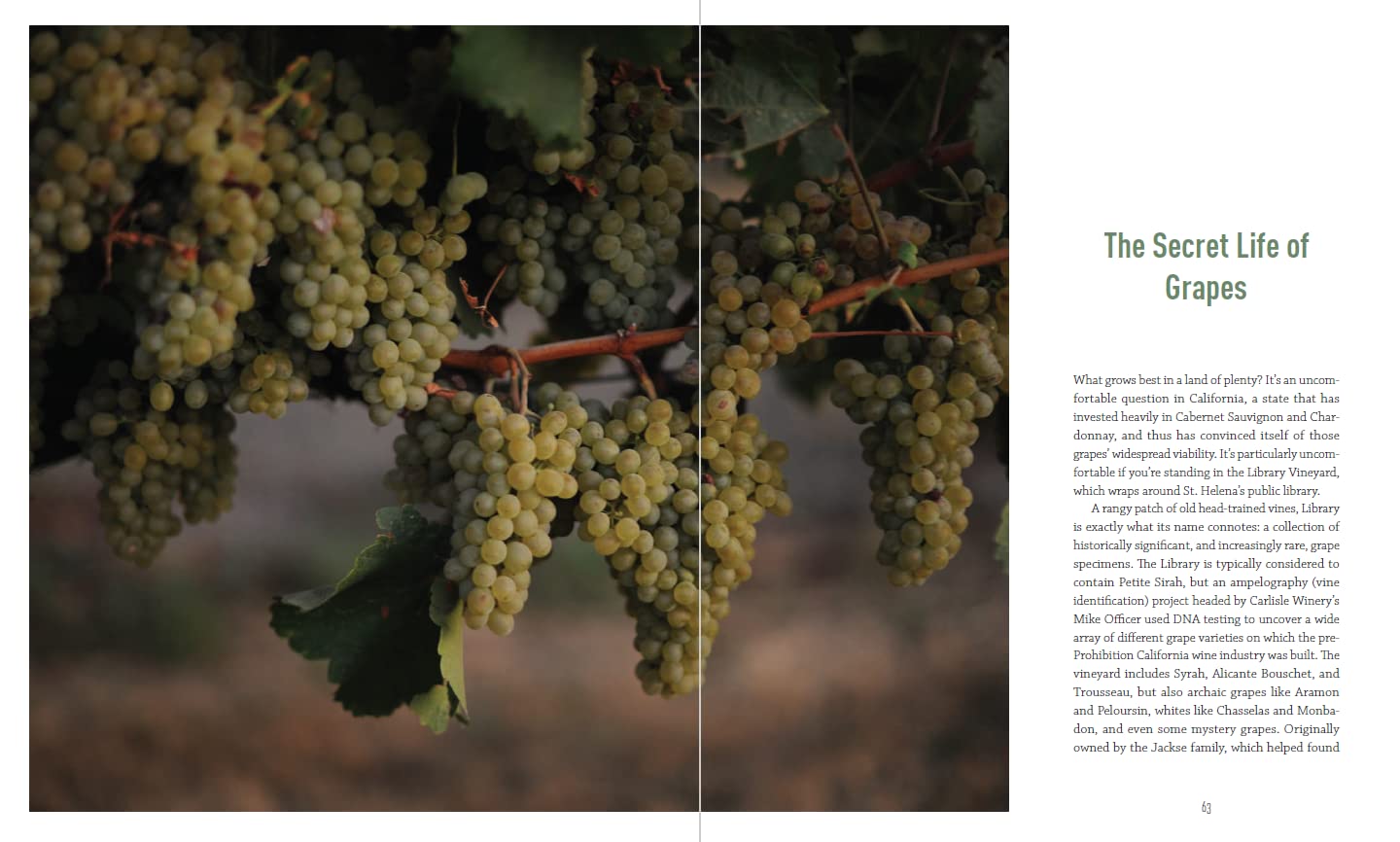 The New California Wine: A Guide to the Producers and Wines Behind a Revolution in Taste