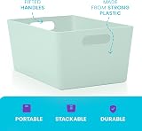 Niftii 5-Pack Plastic Storage Baskets with Handles 3.9L 17x25x11cm view 6
