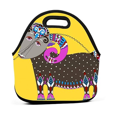 Kinder Lunchtaschen für Mädchen, braune Ziege, günstige Taschen für Frauen, 3D-Druck, Lunchbox, Lebensmittelbehälter, Picknick-Tasche, Handtasche