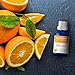 Orange Organic Essential Oil from Ancient Apothecary, 15 mL - 100% Pure and Therapeutic Grade