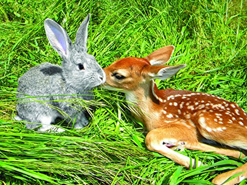 Luv-it Puzzles Unlikely Friendships - Animal Attraction Jigsaw Puzzle (550 Piece)