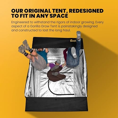 zelt ebay kleinanzeigen Durston X-Mid 2 2026 (Shipping September 2026) – HikerHaus Color:Cranberry w/ gray floor Bio-Babyschlafsack Space Odyssey / Licensed