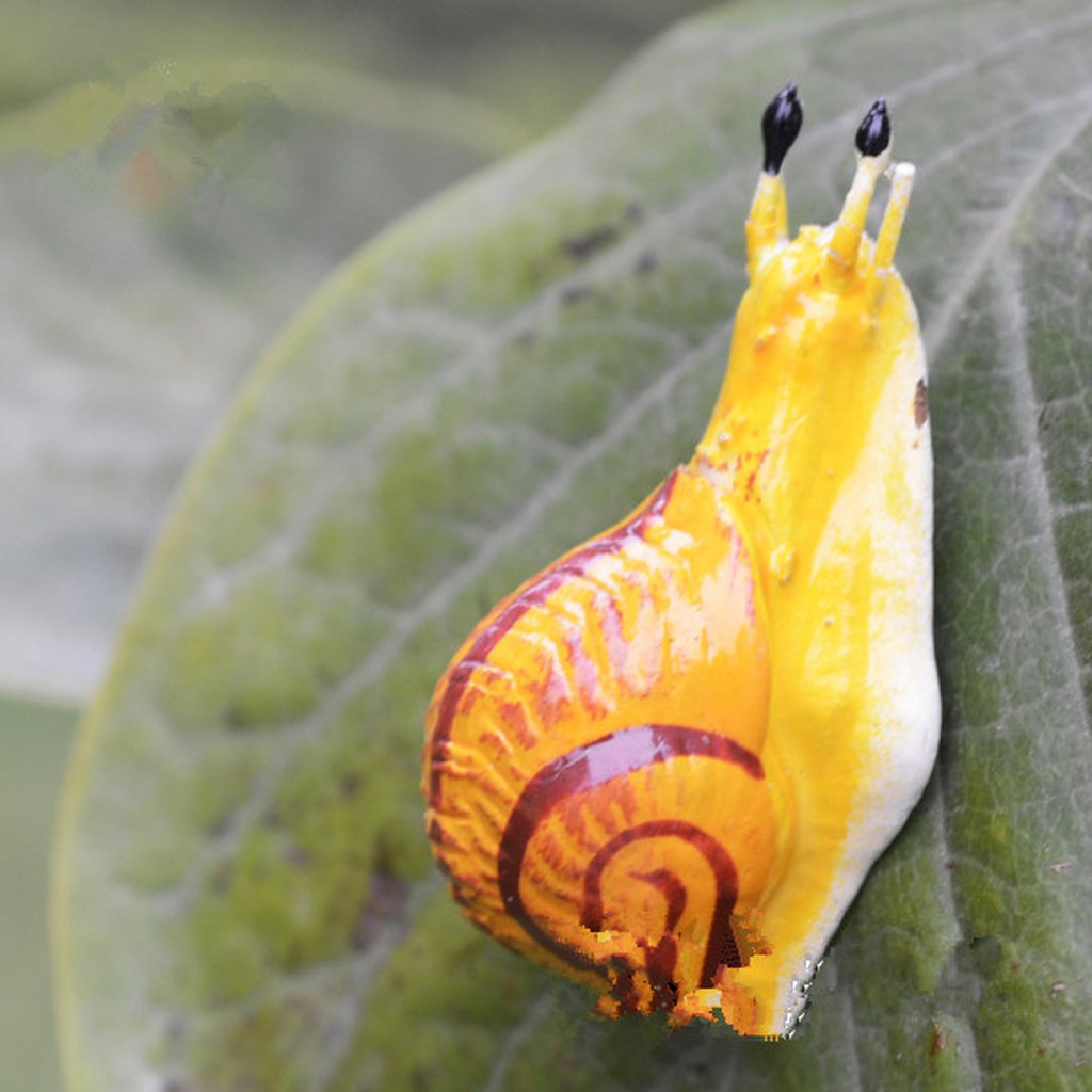 Fenteer Imán para Nevera, Diseño de Caracol de Abeja, 2 Unidades ...