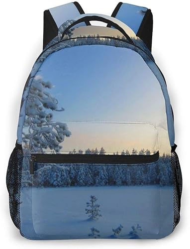 Amazon Co Jp 冬の雪 バックパック リュック メンズ レディース 学生 男女兼用 防水 アウトドア カジュアル デイパック 多機能 収納 通勤 通学 シューズ バッグ