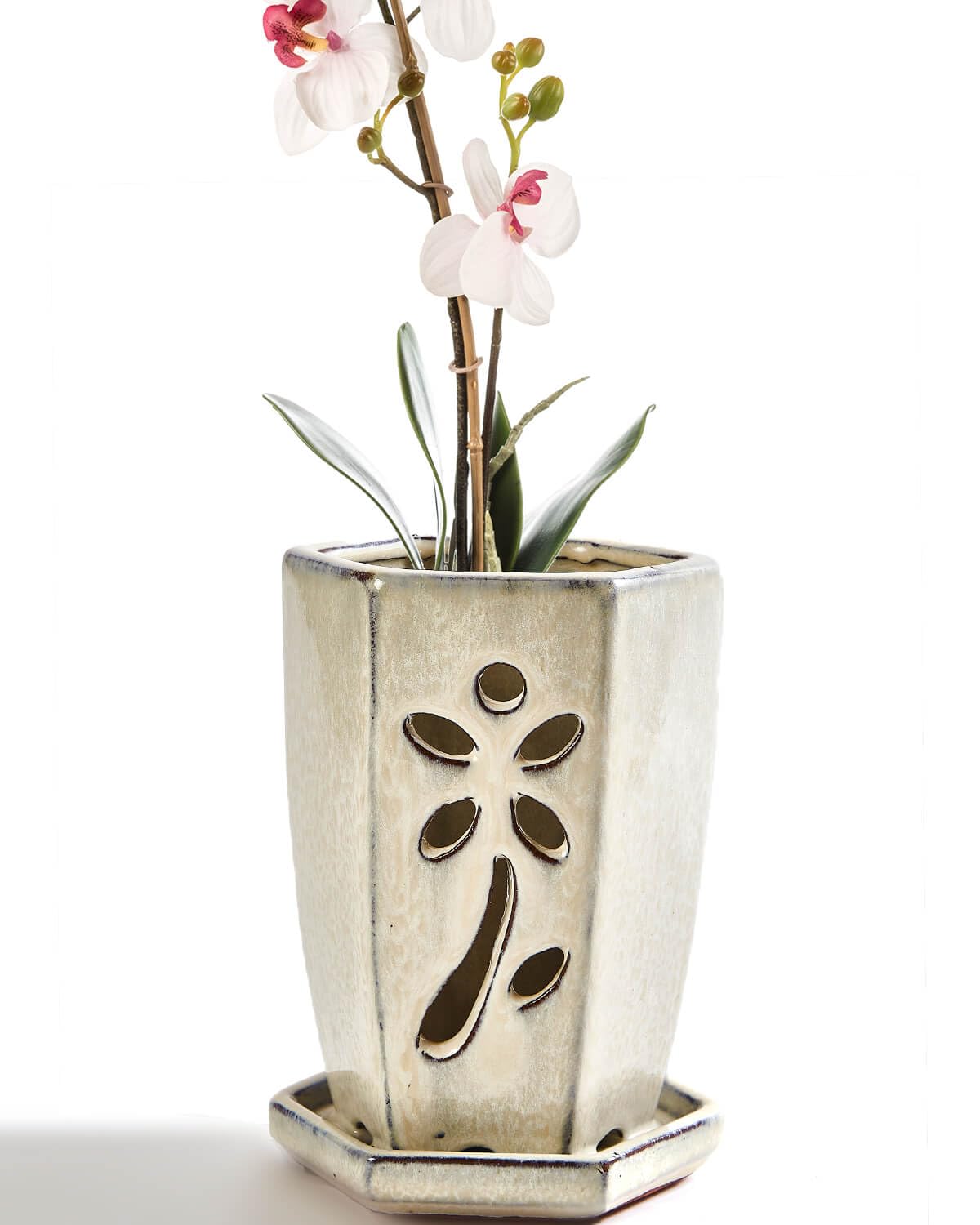 vensovo 10 CM Ceramic Orchid Pot with Holes and Attached Saucer, Small Hexagon Orchid Planter for Repotting, Promotes Air Circulation and Drainage for Healthy Roots, Indoor Outdoor, Milk White