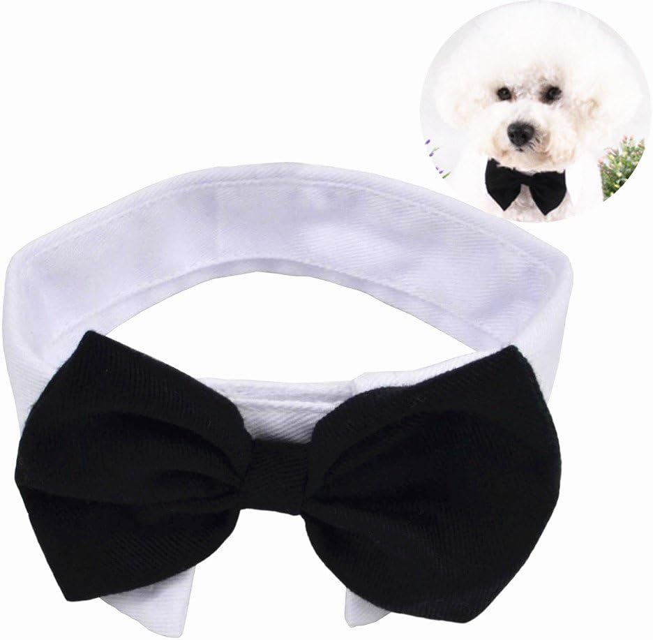 YUMSUM Pet Bowtie Collar,Formal Dog Cat Neck Bow with Adjustable Closure White Collar (S, Black&White)