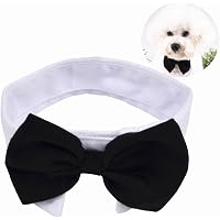 Formal Pets Fliege Für Hunde & Katzen – Verstellbar, Aus Baumwolle-Polyester, Für Halsumfang 26-28 Cm, Stylisches Accessoire