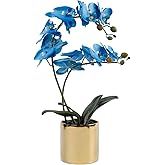 Airbirhom 17“ Artificial Orchid Flowers Potted,Realistic Faux Blue Flowers in Pots for Bathroom Kitchen Home Office Living Room Table Decor Indoor Outdoor