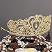 Whitelotous Silver Plated Diamond Jewelry Bride Crown Tiara Bride's Headdress (Gold)