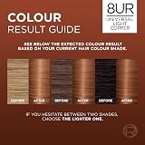 L'Oréal Paris Excellence Universal Reds Ammonia-Free 8UR Universal Red view 4