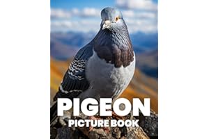 Pigeon Picture Book: Discover the Grace and Diversity of Pigeons Through 100 Captivating Photographs