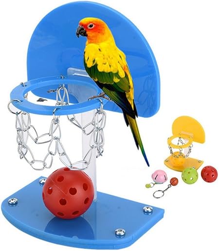 pappagallo giocattolo