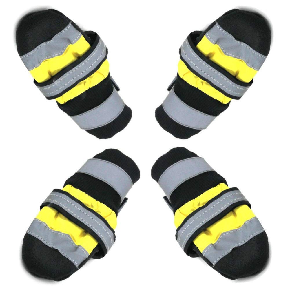 Which Is The Best Cooling Shoes For Dogs