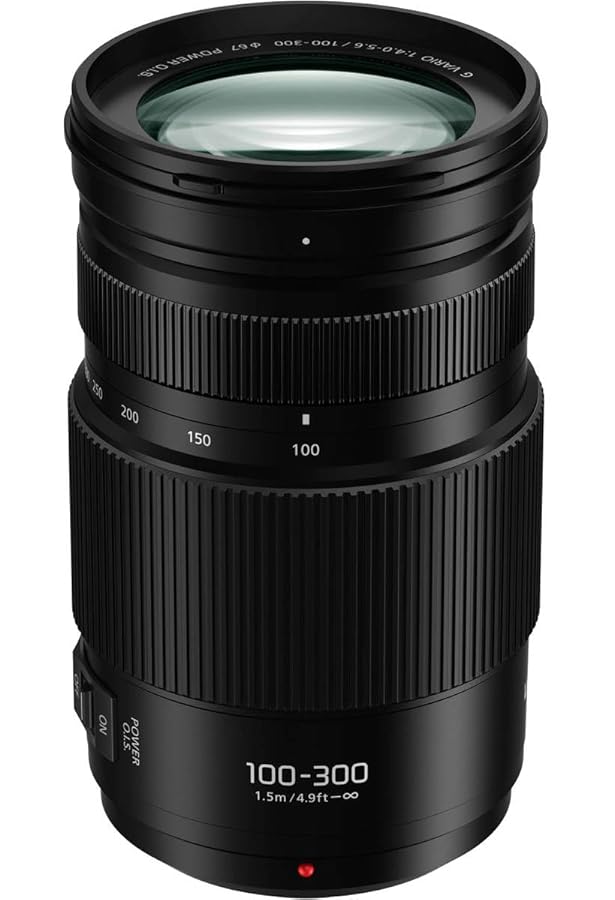 Amazon.com : Panasonic LUMIX G VARIO 100-300mm F4.0-5.6 MEGA O.I.S 