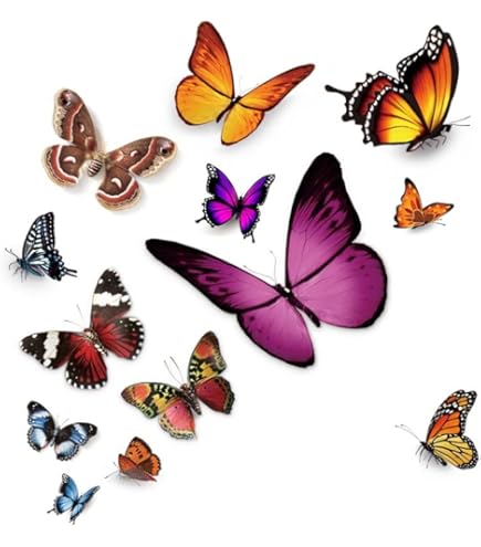 Butterfly Car Decal Sticker - Colorful Vinyl Decoration For Windows & Bumpers
