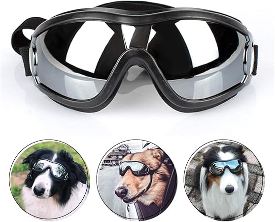 goggles for dogs amazon