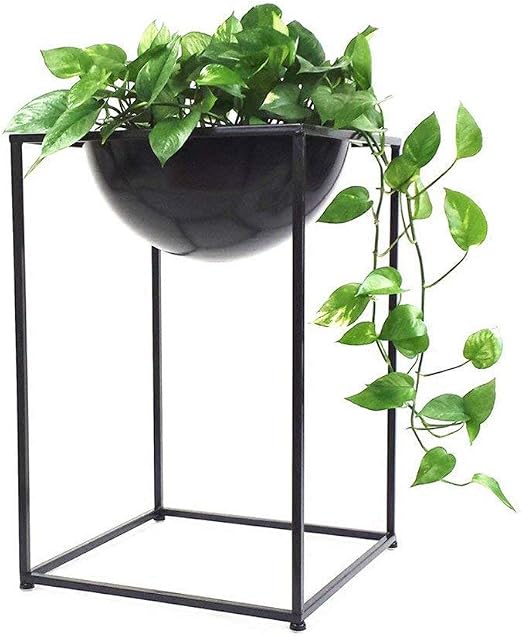 JKL-Soportes para Plantas Plantas para Flores de jardín Soporte ...