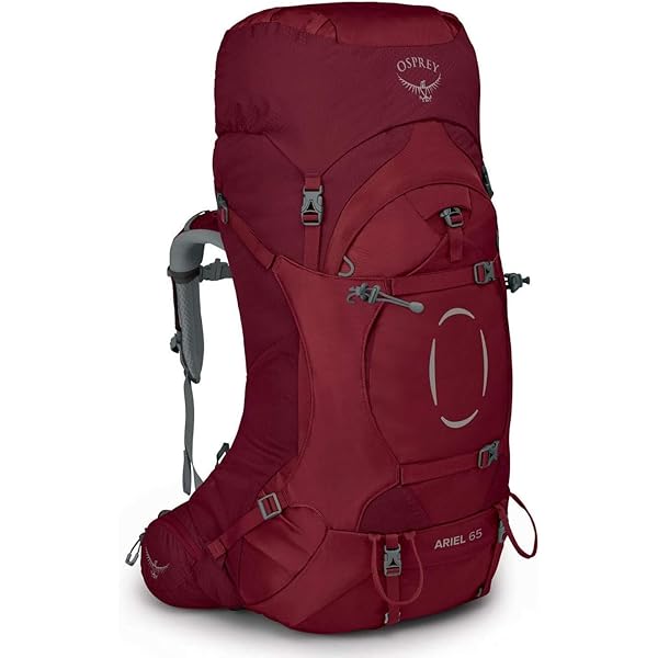 Amazon.com : Osprey Ariel 55L Women's Backpacking Backpack, Ceramic Blue,  WM/L : Sports & Outdoors