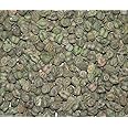 Green Chickpeas - 1000 Plant Seeds,Green Chana or Hara Chana- EZ to Grow !