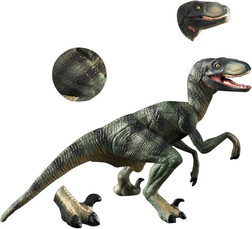 dromaeosaurus toy