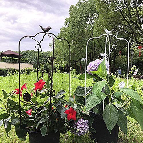 CJSWT Rankhilfe Rankgerüst Kletterpflanzen,Obelisken, Pflanzendesign Garten Gitter, Für Im Freien Kletterer Blumen und… – Bild 5