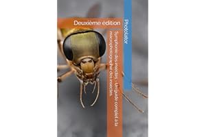 Symphonie des insectes - Un guide complet à la macrophotographie des insectes.: Deuxième édition