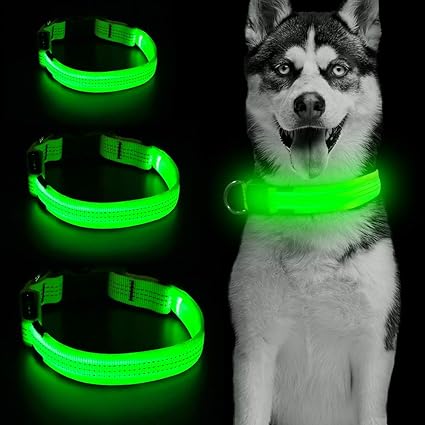 Amazon.com : Light Up LED Dog Collar 