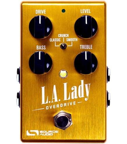 Source Audio SA161 Dual Expression Pedal : Amazon.ca