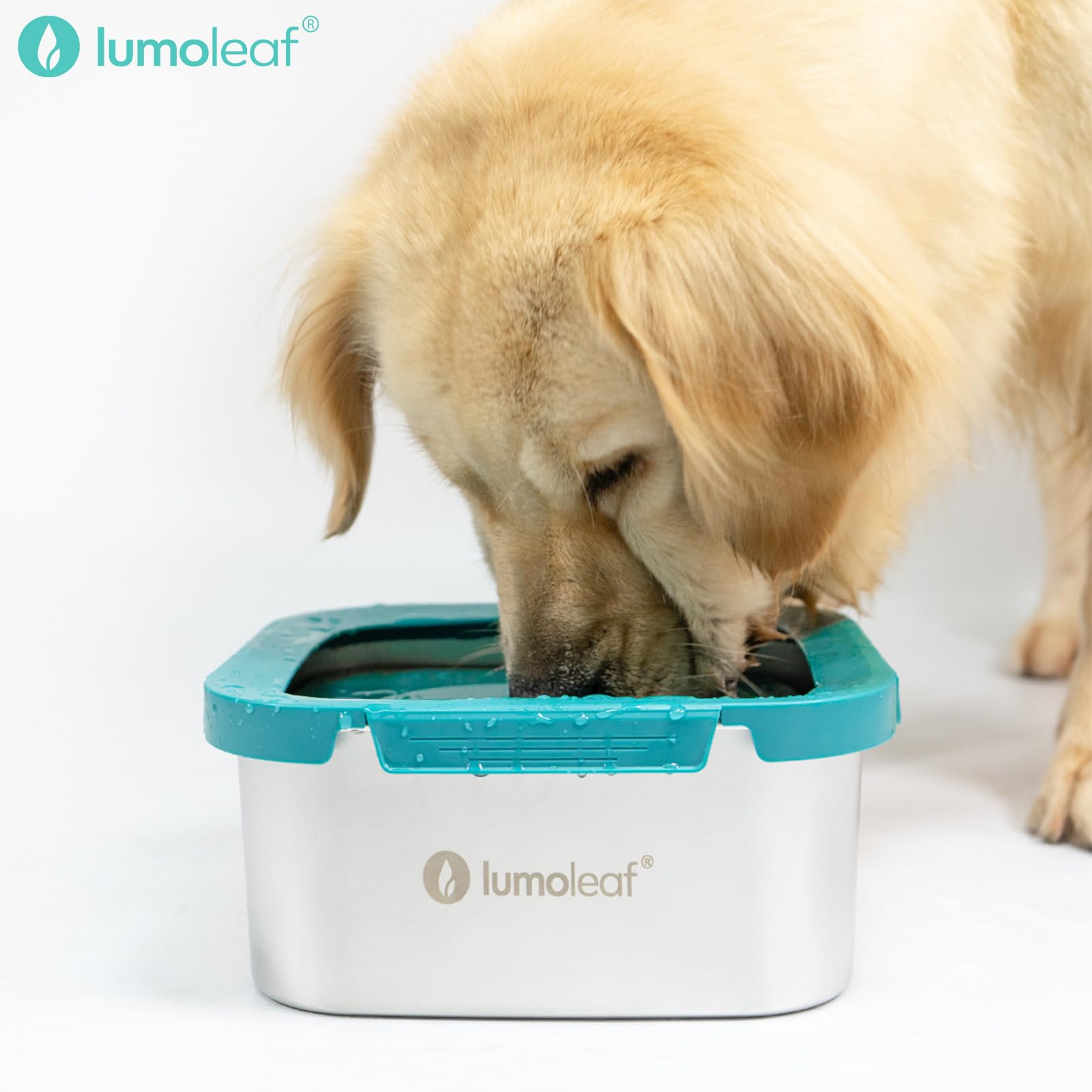 No Spill Dog Water Bowl